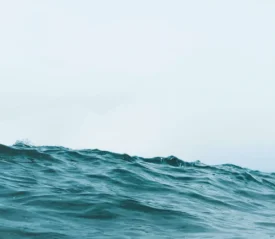 A gentle ocean wave rises against a pale sky, with soft light reflecting off the textured surface of the water