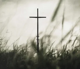 A solitary cross standing in a field of tall grass under a soft, muted sky