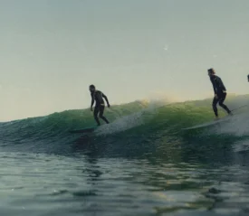 Three surfers ride a green ocean wave together in the soft light of early morning or late afternoon