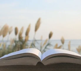 Open book resting on a wooden surface with tall grasses and a calm ocean in the background at sunrise