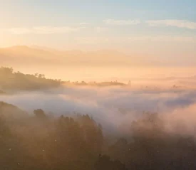A golden sunrise casts warm light over rolling hills and treetops as a blanket of soft mist drifts through the valleys below