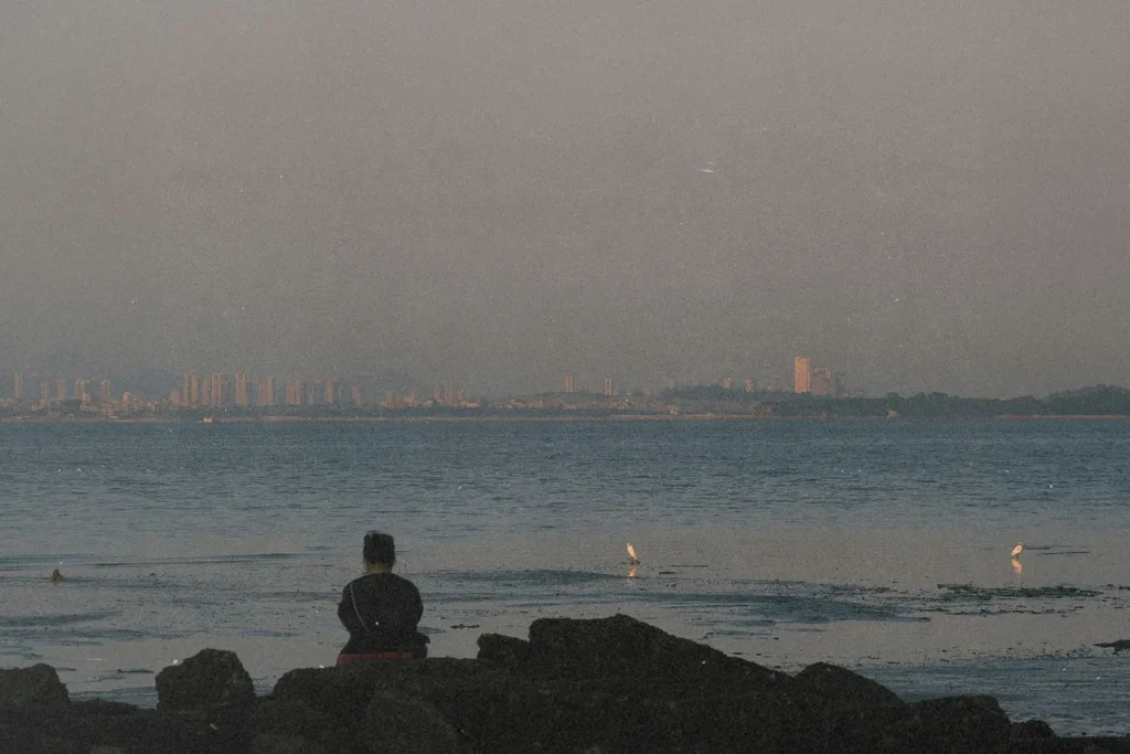 A person sits on rocky shoreline looking out over a calm body of water, with a distant city skyline visible across the horizon under a hazy sky