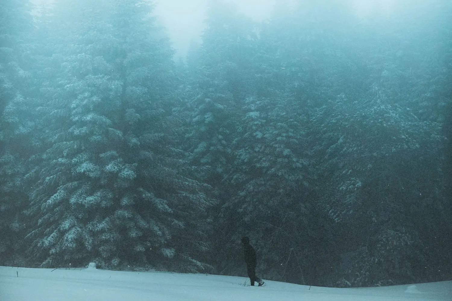 A person walks across a snowy clearing at the edge of a dense, mist‑covered forest of tall, frost‑laden evergreen trees
