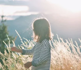A child stands in a sunlit field of tall grass, gently touching the plants as the mountains glow softly in the background