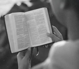 Person holding and reading an open Bible outdoors in soft, natural light