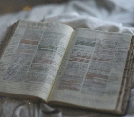 Open Bible with highlighted verses and handwritten notes resting on a soft blanket in gentle, natural light