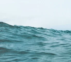 A gentle ocean wave rolls forward beneath a pale, hazy sky