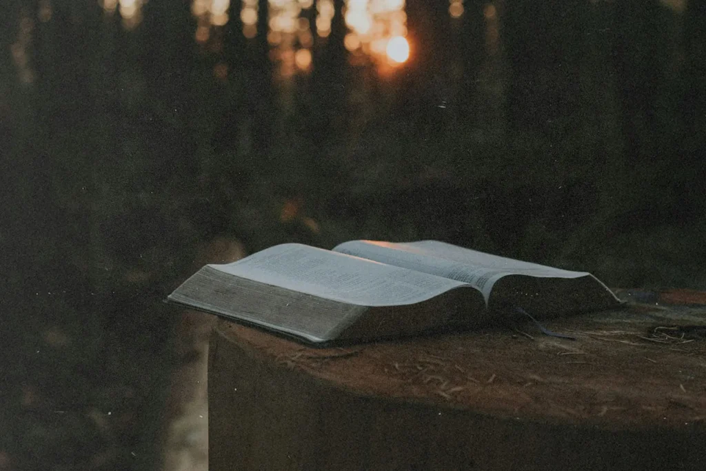 Open Bible resting on a tree stump in a forest at sunset