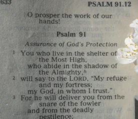 Close-up of an open Bible showing Psalm 91 with white flowers resting along the page edge