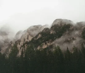 Misty mountains rising above a dense forest under an overcast sky