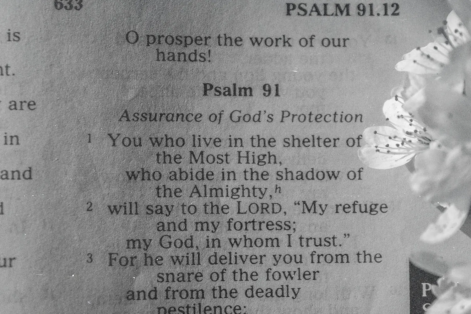 Open Bible displaying Psalm 91 with delicate white flowers resting beside the page