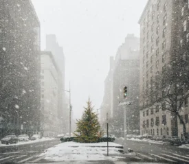 Snow falling over a lit Christmas tree placed on a median in a downtown winter scene