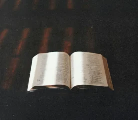 Open Bible illuminated by soft light on a dark wooden surface