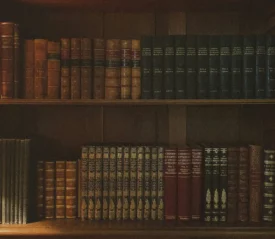 2 shelves full of leather hardcover books organized by color