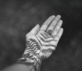 An outstretched hand is covered in dappled shadows resembling leaves or branches