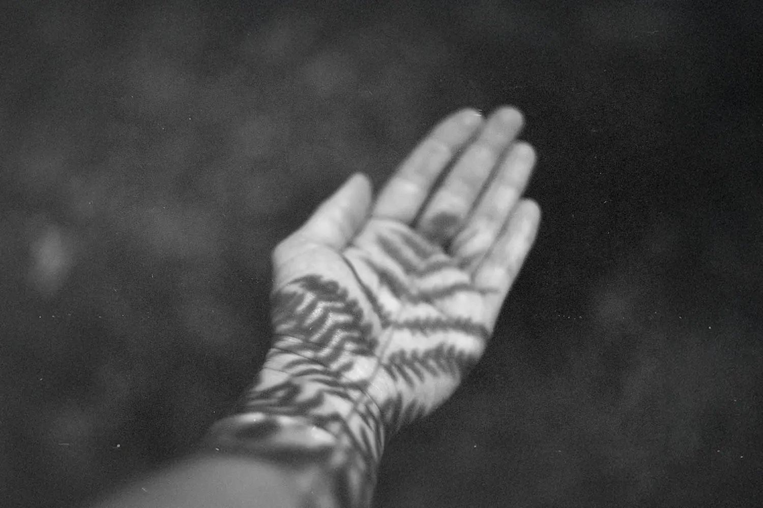 An outstretched hand is covered in dappled shadows resembling leaves or branches