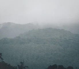 Layers of forested hills rise into thick fog, creating a moody, mist-covered landscape