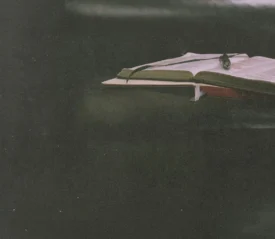 Close-up of an open Bible with a ribbon marker and reading glasses placed on top, set against a dark background