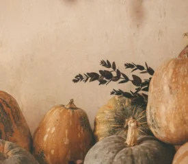 Assorted pumpkins and gourds arranged against a warm beige wall, with a small branch of dark leaves placed among them