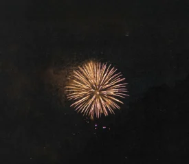 firework on dark sky