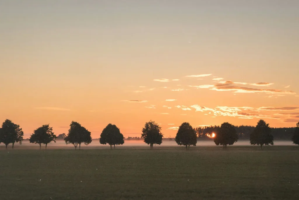 Body of water with a line of trees and a grass field on the shore