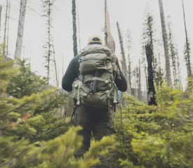 Man with backpack hiking uphill in a forest