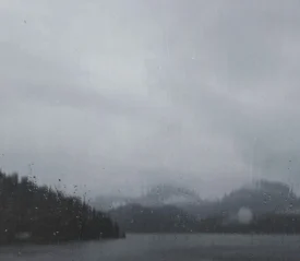 Fog hovering above a lake