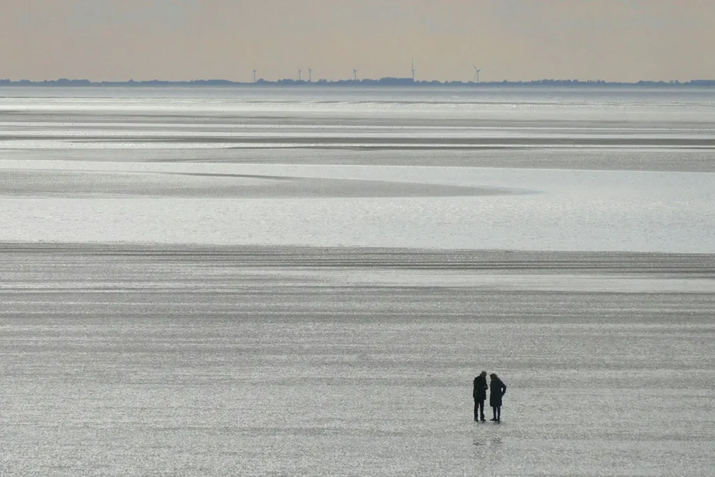 people in the distance on a beach