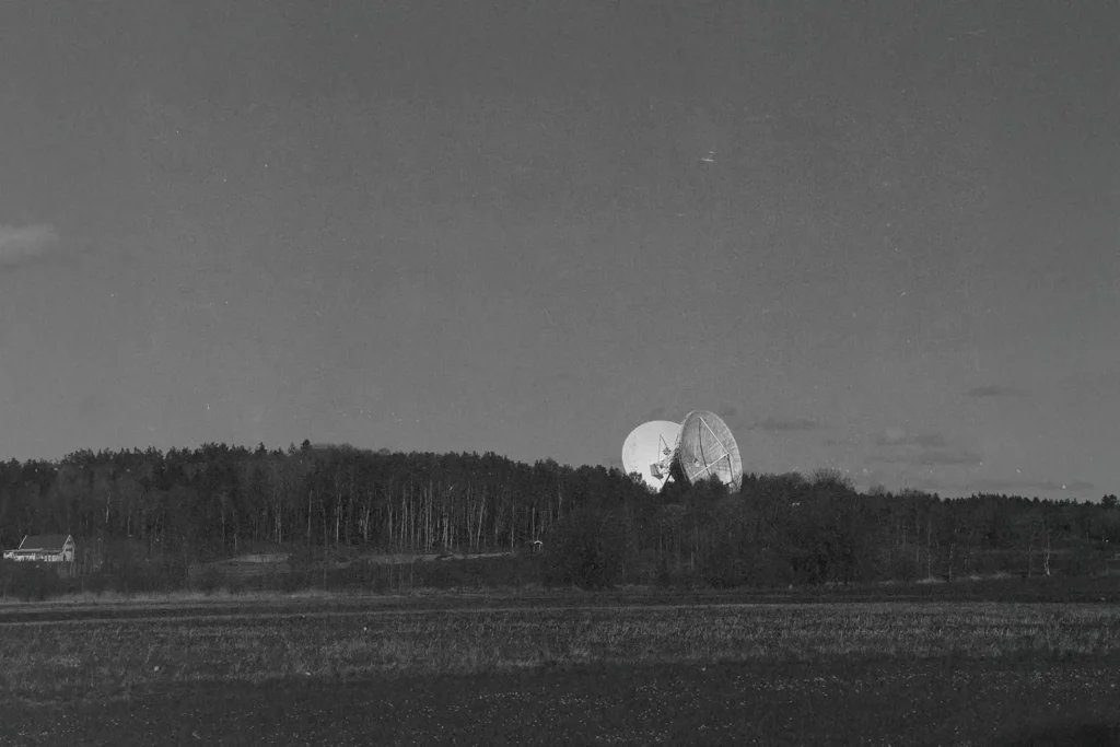 black and white photo of satellites sticking out of a tree line