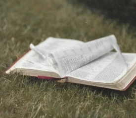 Open Bible on the grass with pages blowing in the wind