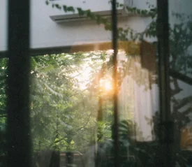 sun shining through an open door and window