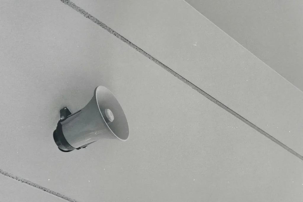 white speaker of white wall