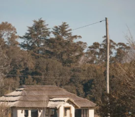 Cottage-style building at the edge of a wooded area with a power line overhead