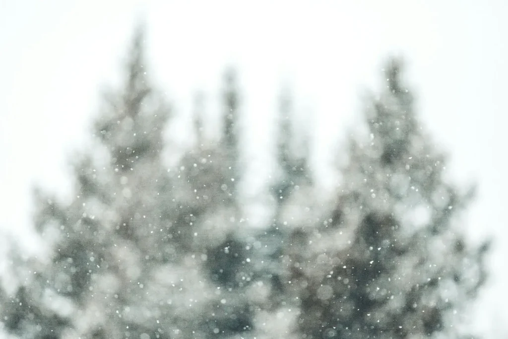 photo of falling snow in front of tree tops