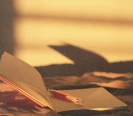 Open journal and pen resting on a blanket in warm golden sunlight