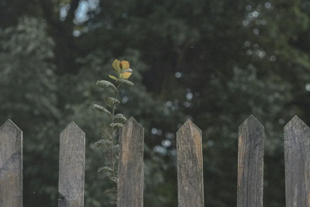 brown picked fence in front of lush green landscape