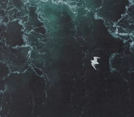 Seagull gliding above deep, choppy ocean water with swirling foam patterns