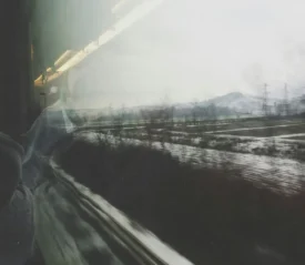 looking out a train window at a treed snowy landscape