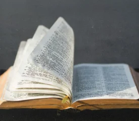 Open Bible with pages flipping in the breeze against a dark background