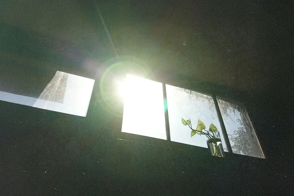 Bright sunlight streaming through a window, illuminating a small plant in a glass jar on the windowsill