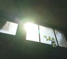Bright sunlight streaming through a window, illuminating a small plant in a glass jar on the windowsill