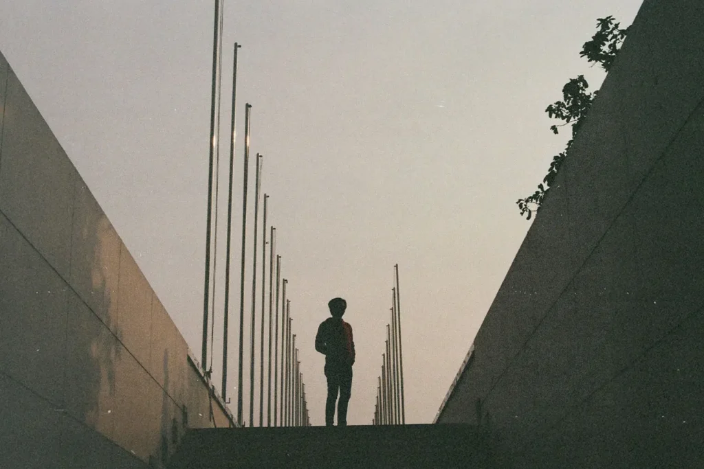 Silhouetted figure standing at the top of a walkway lined with tall flagpoles under a hazy evening sky