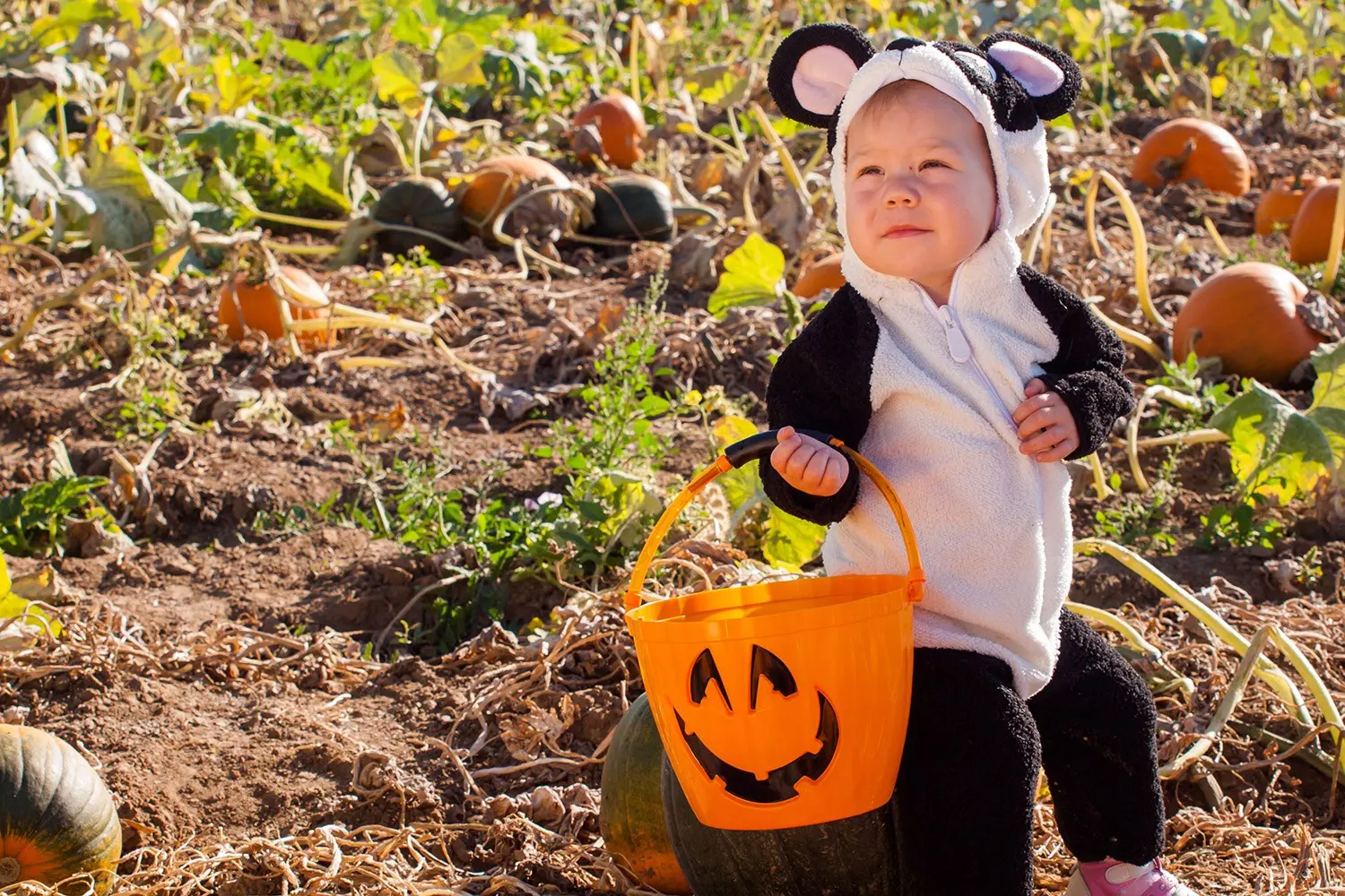 Isn’t Halloween just harmless fun?