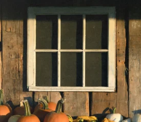 Assorted pumpkins arranged below a small window on the exterior wall of a rustic wooden building