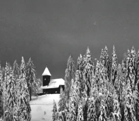 black and white photo of a church like building in the middle of a snowy forest