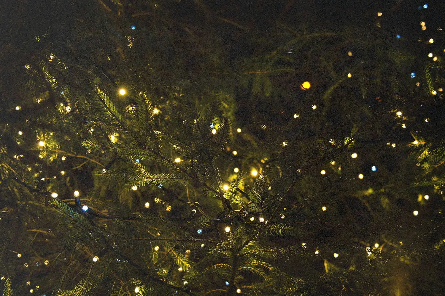 lit christmas tree close up