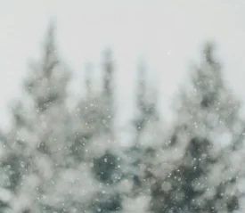 snow falling with a blurred background of tree tops