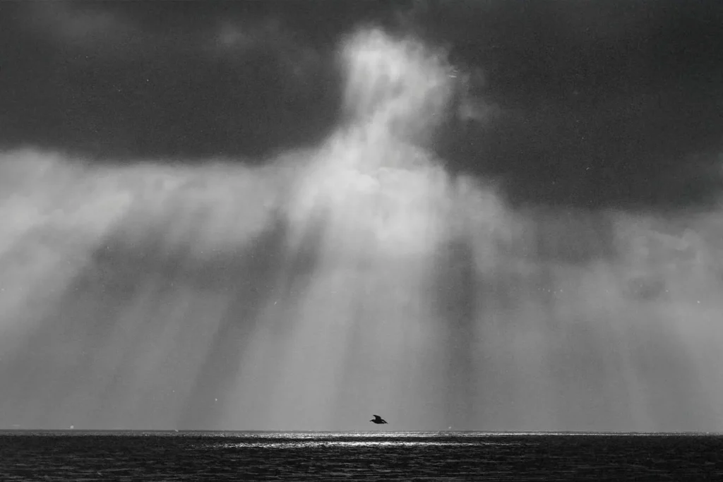 Light shining through clouds on a single bird flying over ocean