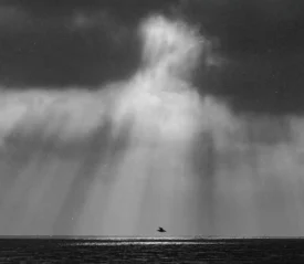 Light shining through clouds on a single bird flying over ocean