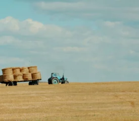 Tractor pulling a trailer of hay bales in the distant field